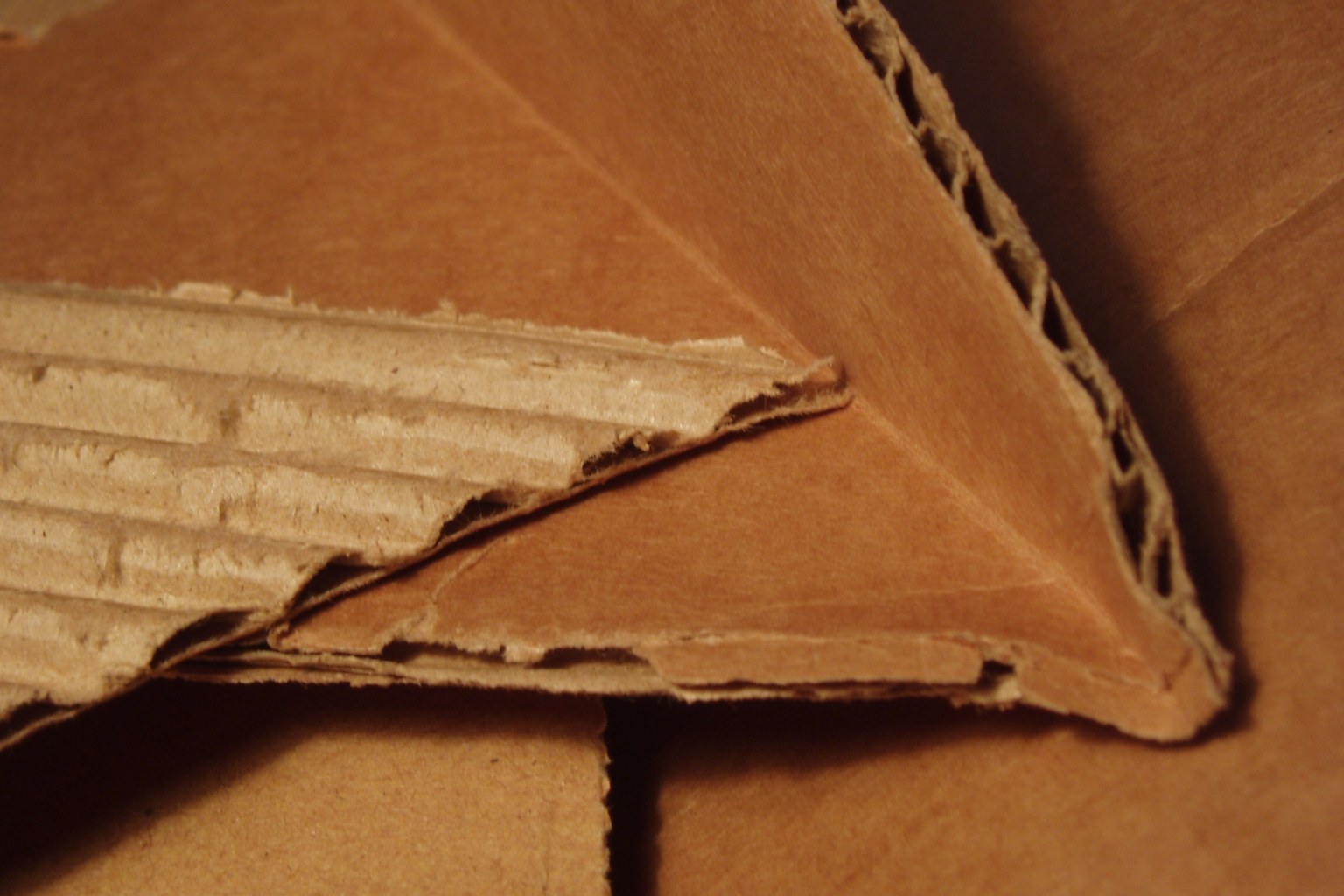 Close-up of a torn corrugated cardboard sheet showing the wavy flute layer between two flat liners